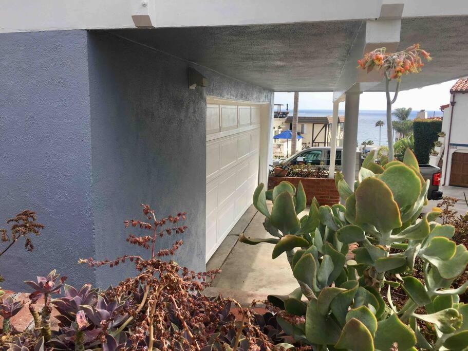 Blue Whale Inn San Clemente Jewel Unit D Exterior foto